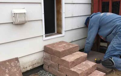 Dog staircase in Longmont